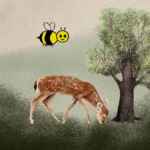 woods